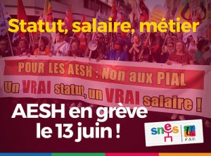 Mobilisation AESH - mardi 13 juin