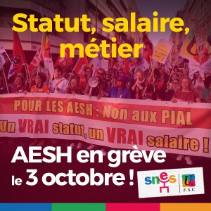 Pour les salaires, contre la précarité, les AESH mobilisé·es le 3 octobre !